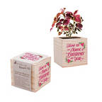 View larger image of Appreciation Plant Cube - Making a Difference