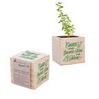 View larger image of Appreciation Plant Cube - Greatest of All Thyme
