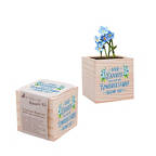 View larger image of Appreciation Plant Cube - Your Efforts are Unforgettable