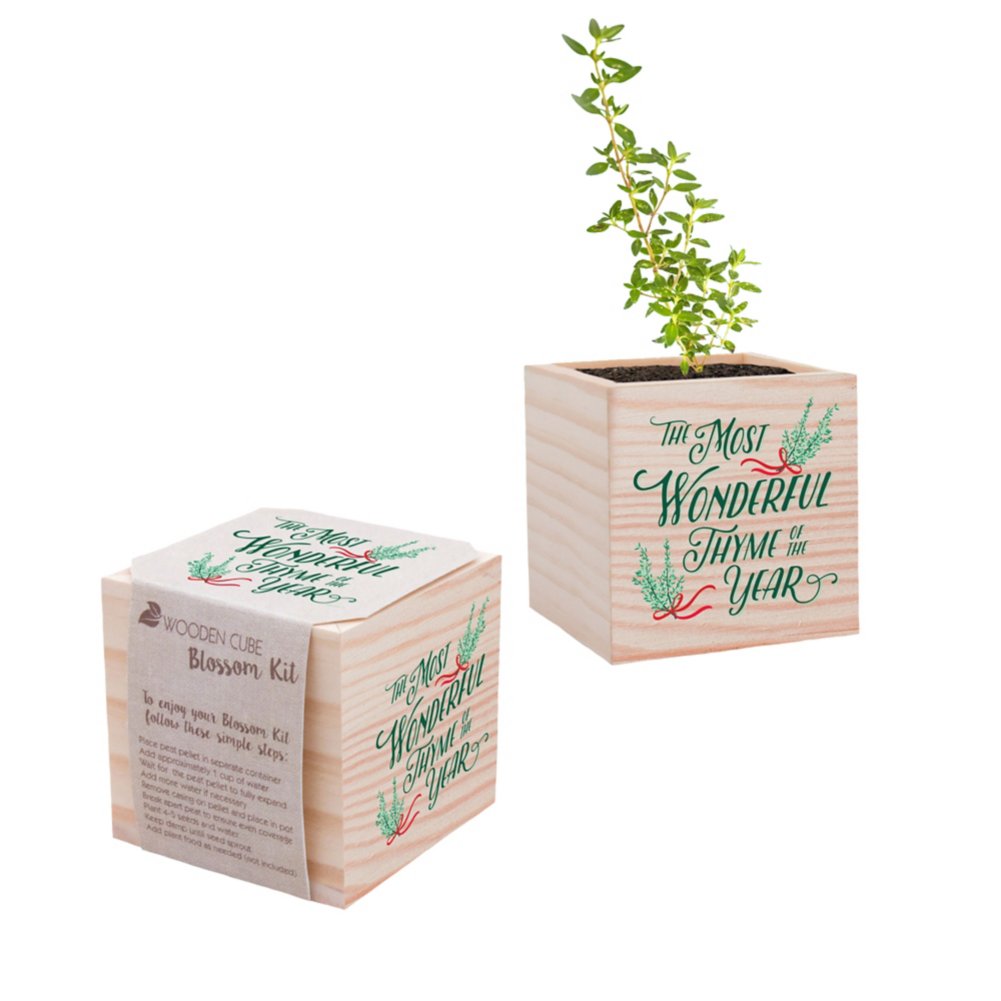 Appreciation Plant Cube - The Most Wonderful Thyme