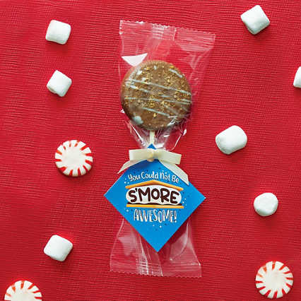 Sweet Spirit Cookie Pop - You Couldn't Be S'more Awesome
