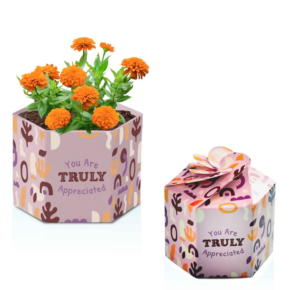 Pop Up Planter Starter Kit - Truly Appreciated