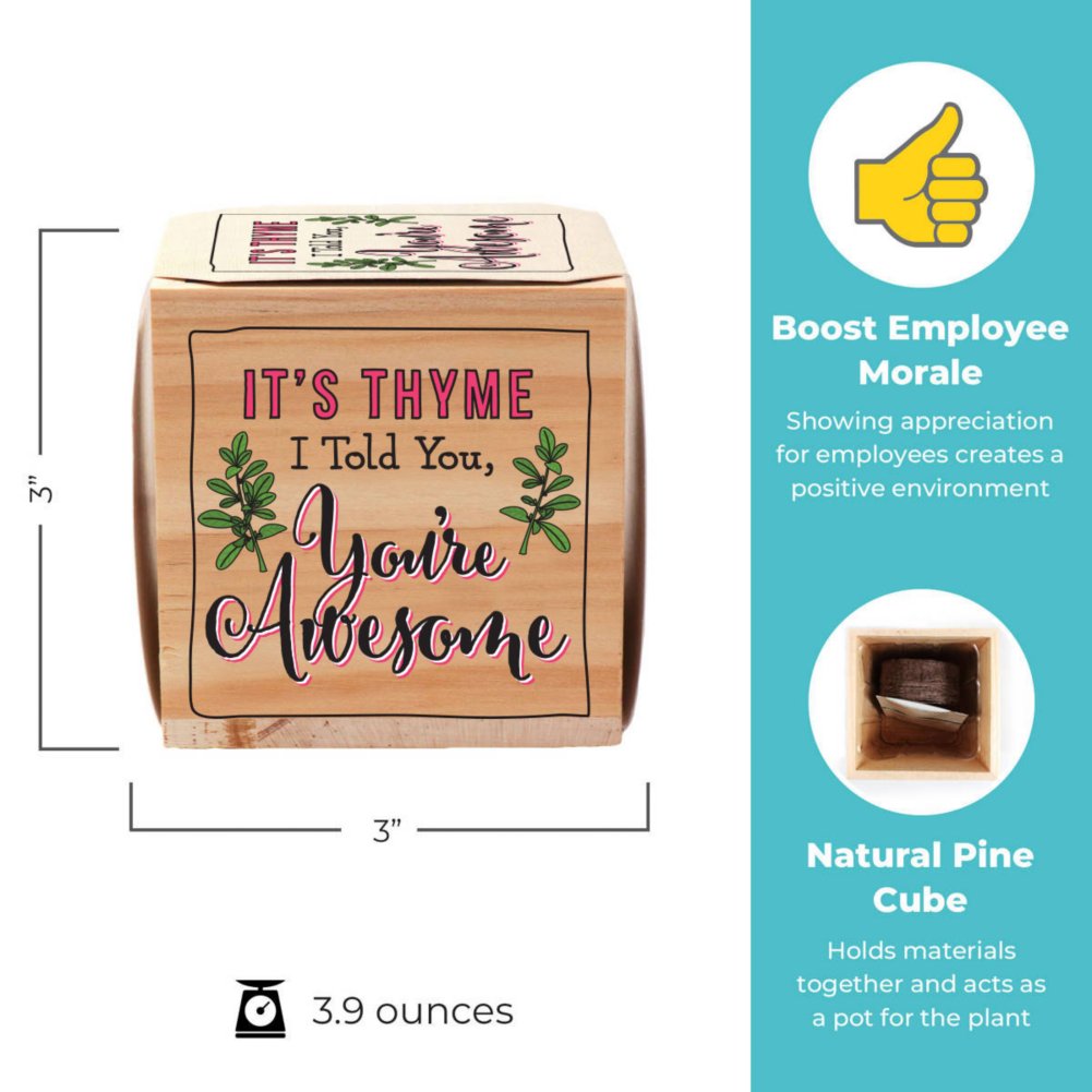 Appreciation Plant Cube - You're Awesome - Thyme
