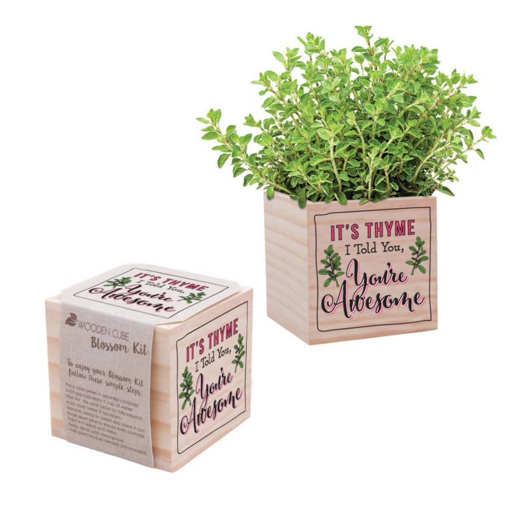 Appreciation Plant Cube - You're Awesome - Thyme