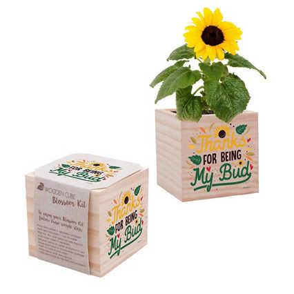 Appreciation Plant Cube - Thanks Being My Bud - Sunflower
