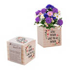 View larger image of Appreciation Plant Cube - Grow Through - Wildflower