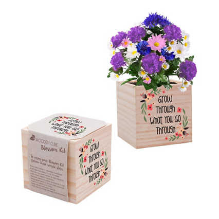 Appreciation Plant Cube - Grow Through - Wildflower