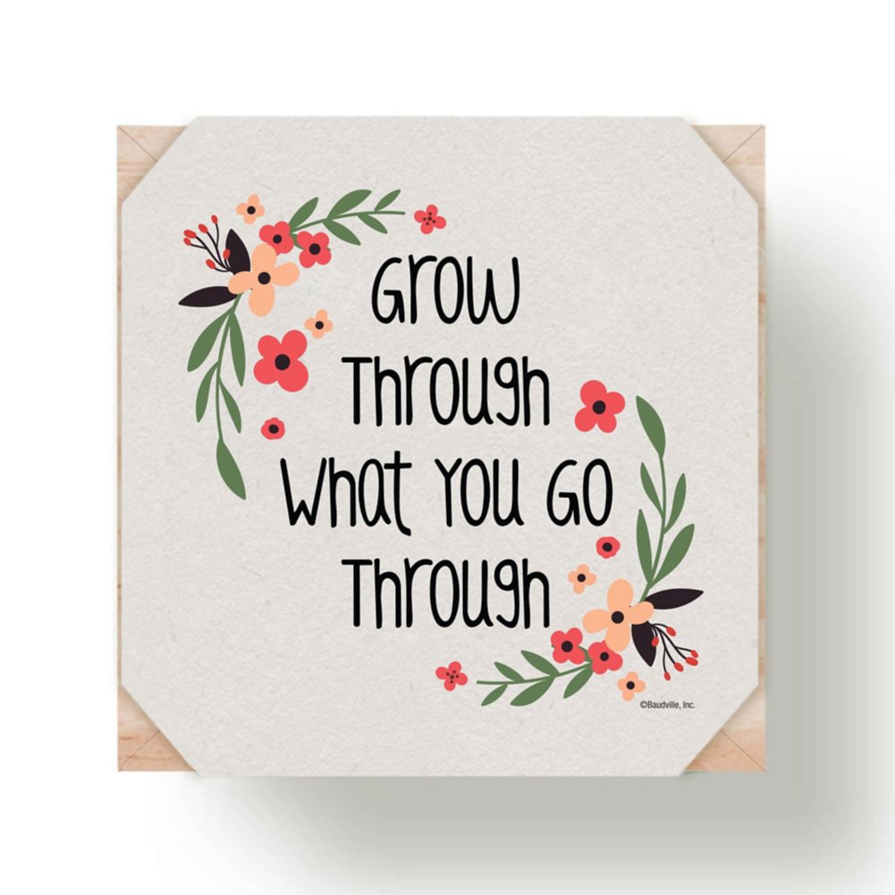 Appreciation Plant Cube - Grow Through - Wildflower