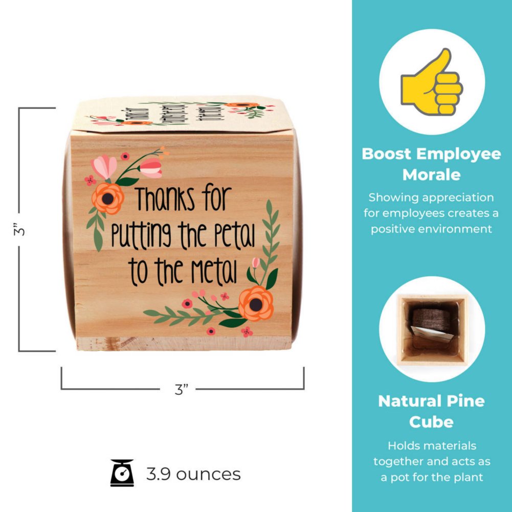Appreciation Plant Cube - Petal to Metal