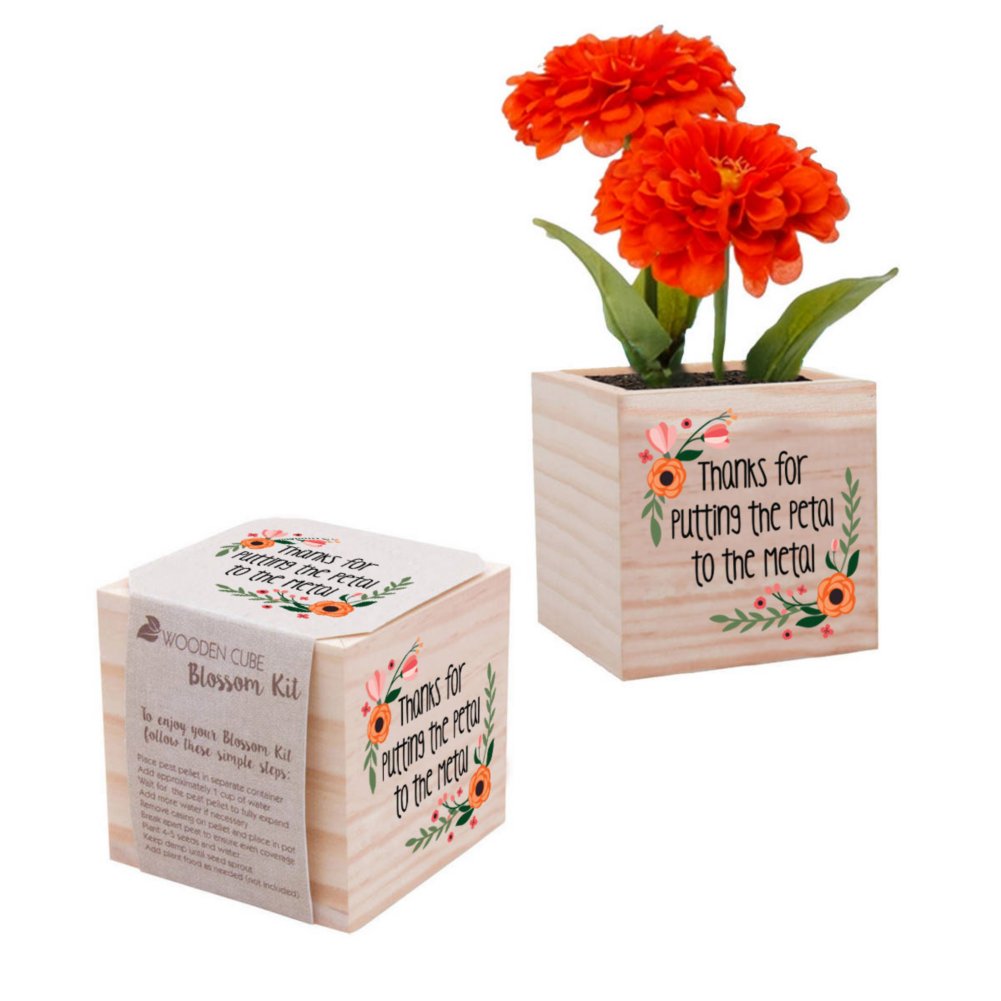 View larger image of Appreciation Plant Cube - Petal to Metal - Zinnia