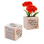 View larger image of Appreciation Plant Cube - Petal to Metal - Zinnia