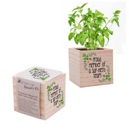 Appreciation Plant Cube - Sup-Herb Team - Mixed Herbs