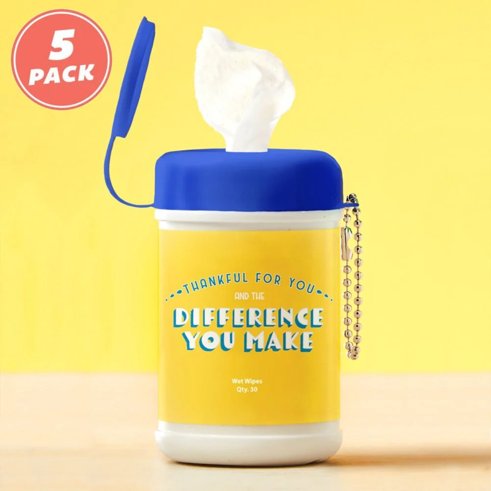 Carry On Sanitizing Wipe Keychain - 5pk - Difference You Make