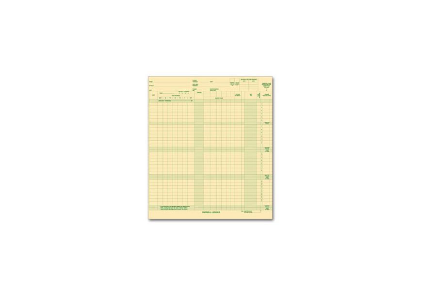 Product image for Expense/Payroll Ledger - Item# 131031N