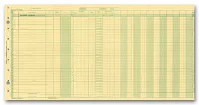 Payroll/Expense Journals - Order Payroll/Expense Journals|Deluxe ...