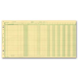 A/P Disbursement Journal JD483