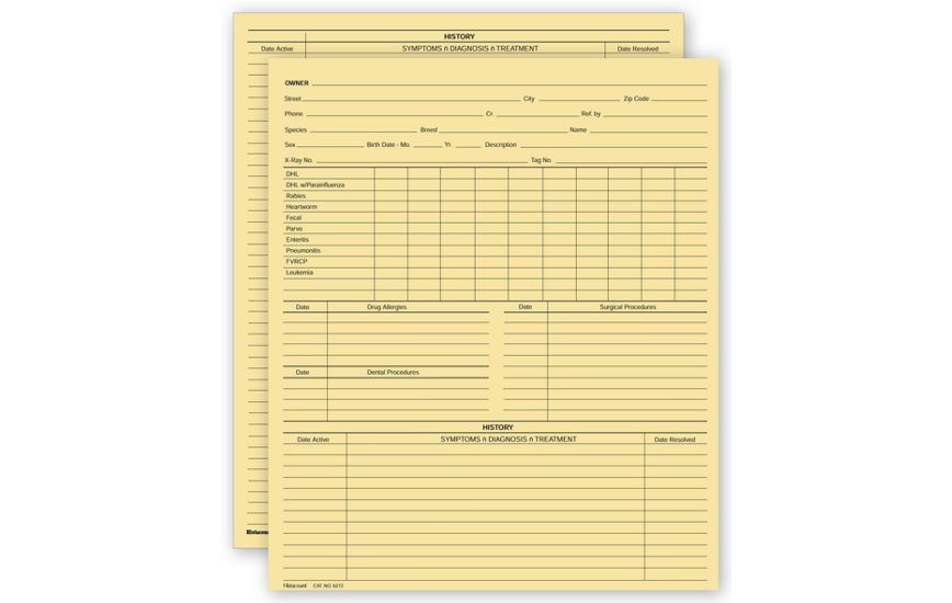Product image for Vet Animal History Exam Record, 2 Sided, Card File Fold - Item# 20967