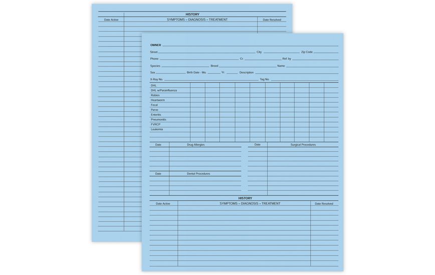 Product image for Vet Animal History Exam Record, 2 Sided, Card File Fold - Item# 20967_blue