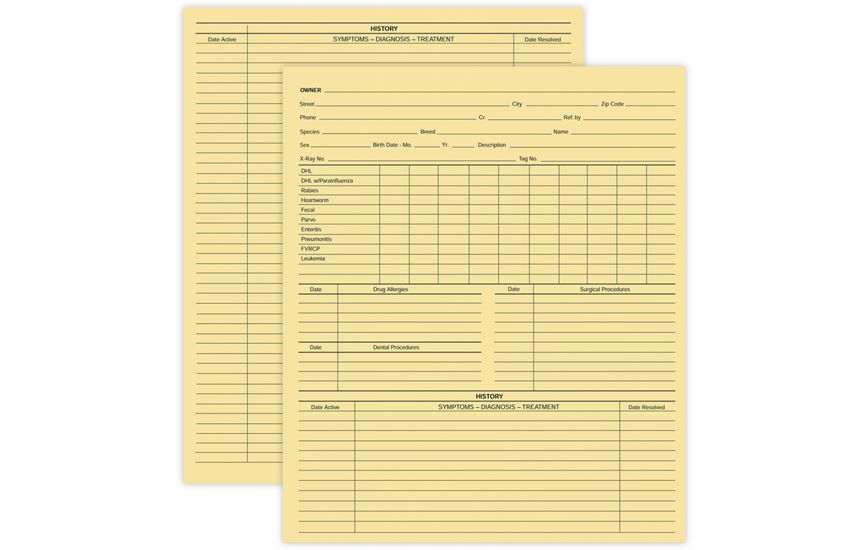 Product image for Vet Animal History Exam Record, 2 Sided, Card File Fold - Item# 20967_ivory