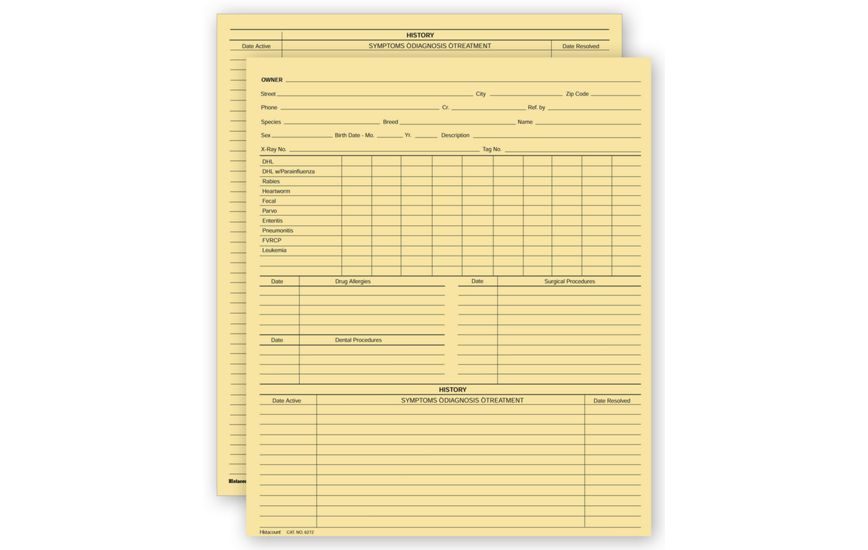 Product image for Vet Animal History Exam Record, 2 Sided, Letter Size - Item# 20968