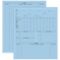 Product Vet Animal History Exam Record, 2 Sided, Letter Size20968_blue  Thumbnail