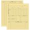 Product Vet Animal History Exam Record, 2 Sided, Letter Size20968_ivory  Thumbnail