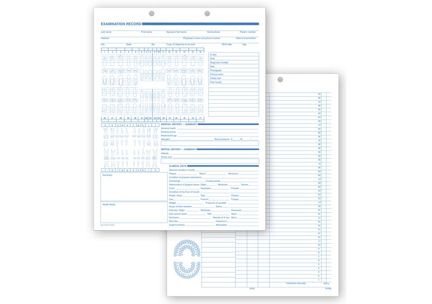 Product image for Dental Exam Records, Anatomic Diagram, Primary - Permanent - Item# 21019V