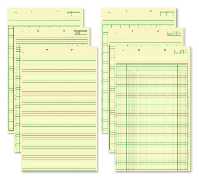 Paper,Notes & Pads Columnar Work Sheets 21127 by Deluxe