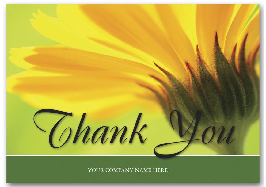 Product image for Golden Bloom Thank You Cards - Item# 3EH013