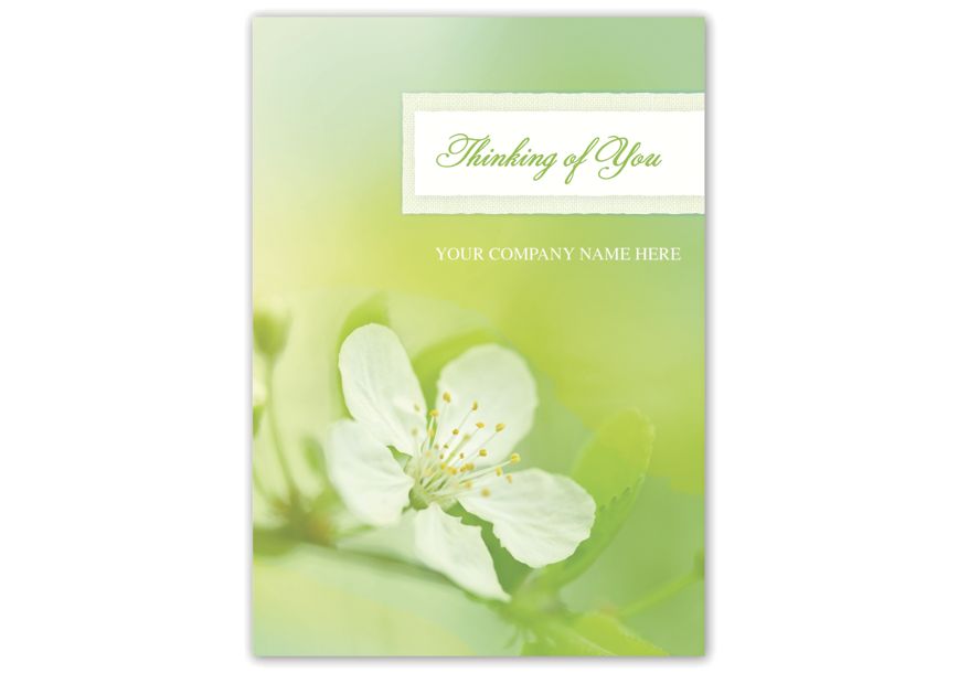 Product image for Apple Blossom Sympathy Cards - Item# 3EH055