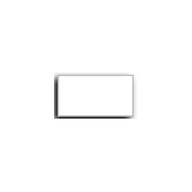 5901-Monarch 1-Line Pricing Labels, White5901