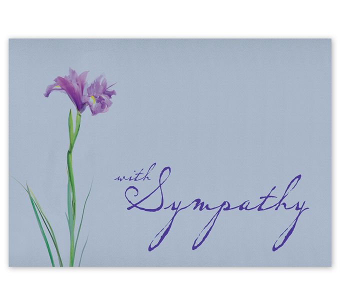 Botanical Floral Boxed Thank You Cards And Envelopes, 8-Count - Papyrus