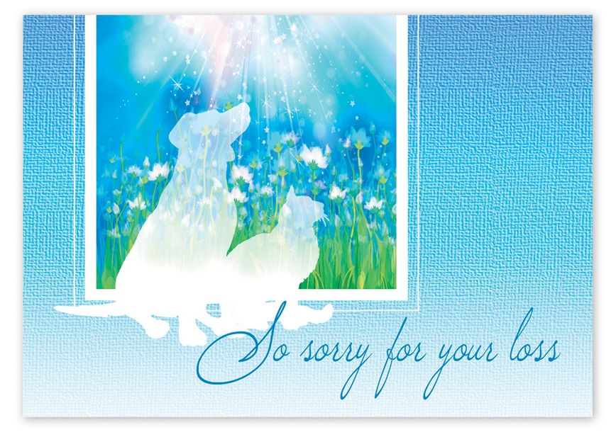 Product image for Guardian Angels Sympathy Cards - Item# 5EH124