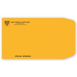 794-9 x 6 Kraft Mailing Envelope794