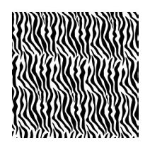 Zebra Tissue Paper, 20 x 30"
