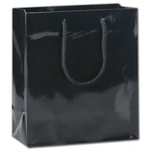 Black Gloss Euro-Totes, 8 x 4 x 9"