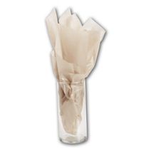 Champagne Pearlesence Tissue Paper, 2-Sided, 20 x 30"