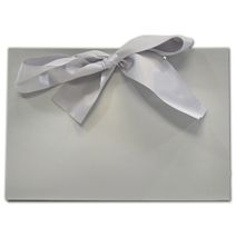 Printed Chrome Purse Style Gift Card Holders 8x3 1/2x5 1/2