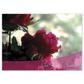 D2079GW-Magenta Flowers Get Well  CardsD2079GW