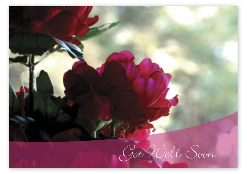 Product image for Magenta Flowers Get Well  Cards - Item# D2079GW