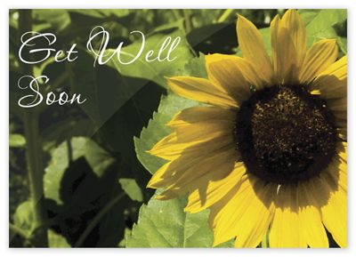 Sunflower Get Well Cards | Deluxe | Deluxe.com