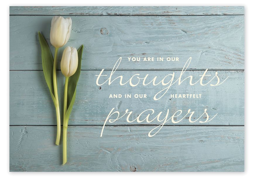 Product image for Heartfelt Thoughts Sympathy Cards - Item# D2600SY
