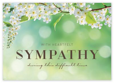 sympathy ポスター D2604SY?$product_schema1x1$