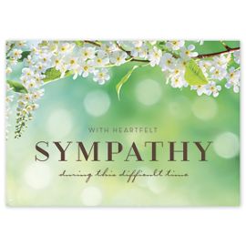 D2604SY-Spring Blossoms Sympathy Greeting CardsD2604SY