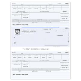 DLM325-Laser Payroll Check, Compatible with RealWorldDLM325