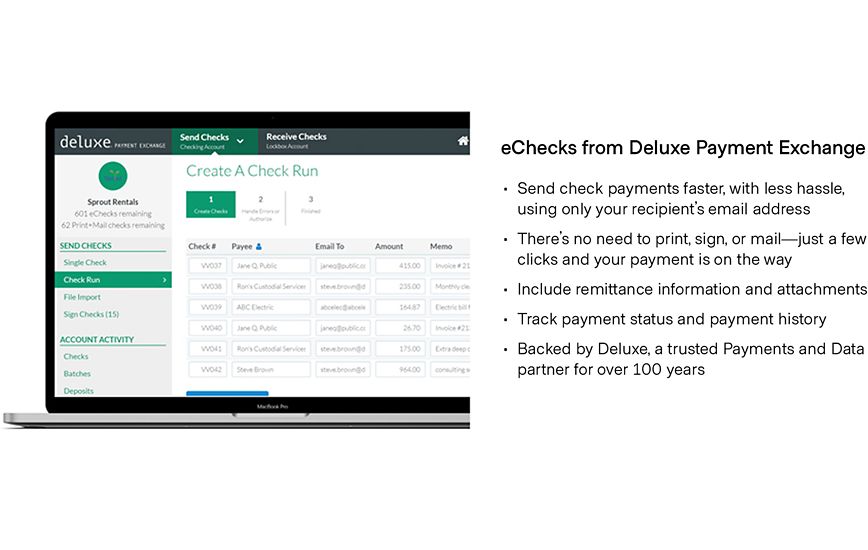 Product image for Digital Payments: eChecks - Item# ECHKSD_img1