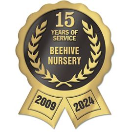 FDS05-Digital Seal DS-05FDS05