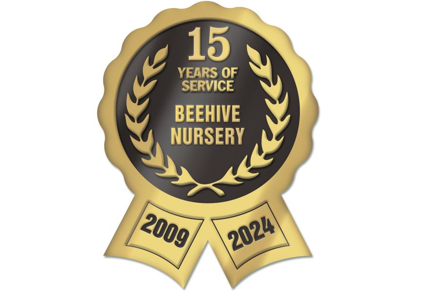 Product image for Digital Seal DS-05 - Item# FDS05