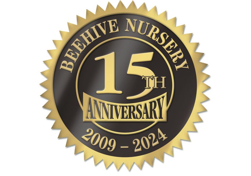 Product image for Digital Seal DS-07 - Item# FDS07