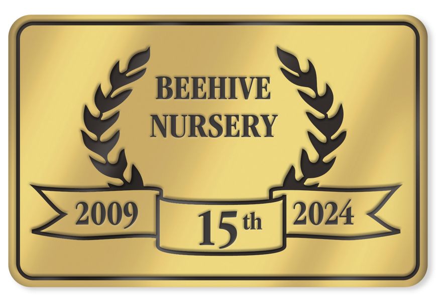 Product image for Digital Seal DS-29 - Item# FDS29